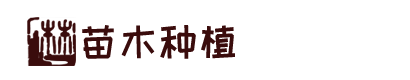 凯发线路检测