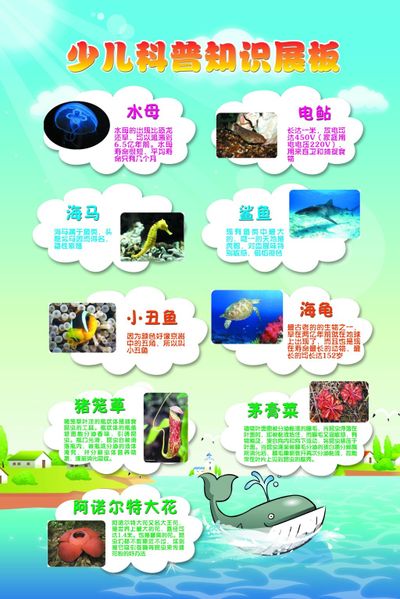 这个社区卫生服务中心“杏林伍仁”科普团队持续发力送中医药健康知识进万家